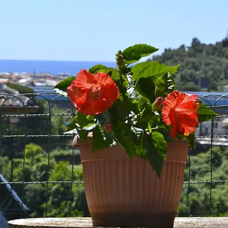 Daria A 2 Km Dal Mare Golfo Del Tigullio *
